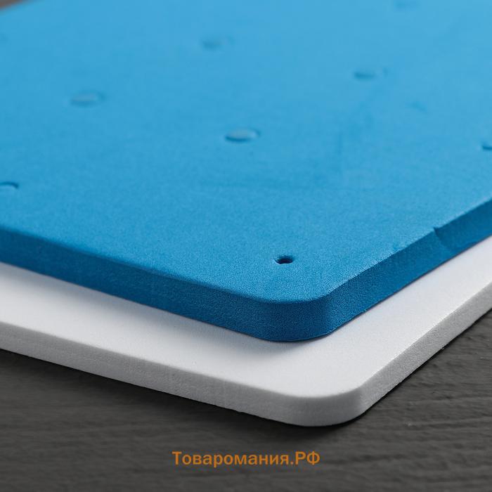 Набор матов для моделирования и сушки цветов из мастики , 20×20×3.5 см, 2 шт., белый, синий