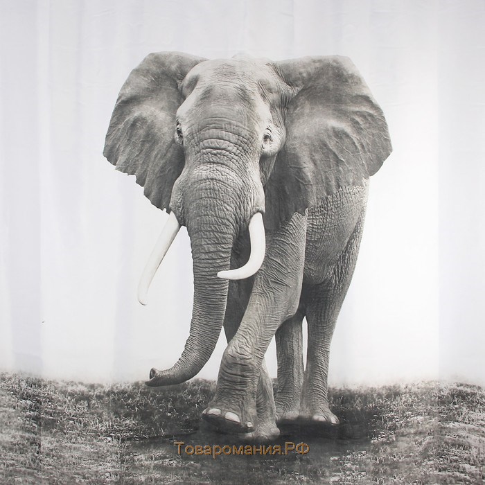 Штора для ванны «Слон», 180×180 см, полиэстер