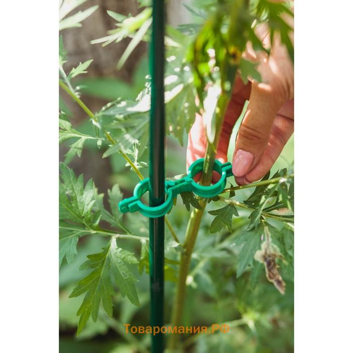 Клипса садовая, d=20 мм, набор 20 шт., зелёный, Greengo