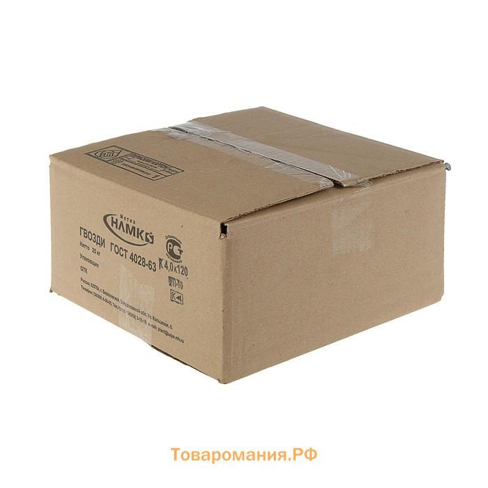 Гвозди ТУНДРА, строительные, ГОСТ 4028-63, без покрытия, 4×120 мм, 25 кг