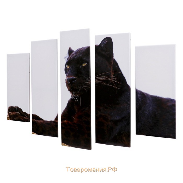 Модульная картина "Гордый леопард" (2-23х52; 2-24х70; 1-24х80) 120х80см