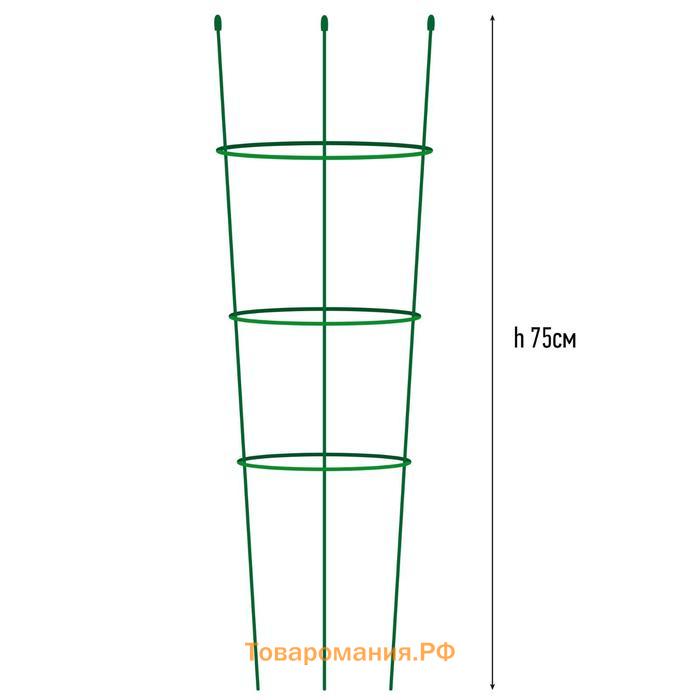 Опора для растений, 3 кольца, h = 75 см, d = 24-22-20 см, металл