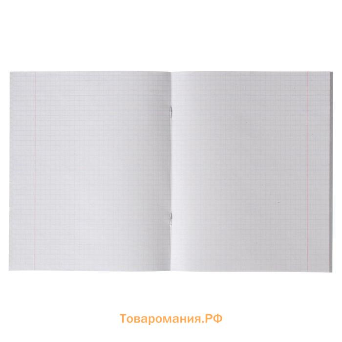Тетрадь 48 листов в клетку Calligrata «Листья», обложка мелованная бумага, серые листы, МИКС