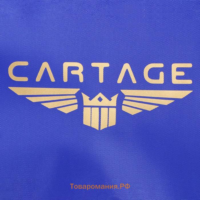 Термосумка Cartage Т-12, синяя, 18 л, 35×21×24 см