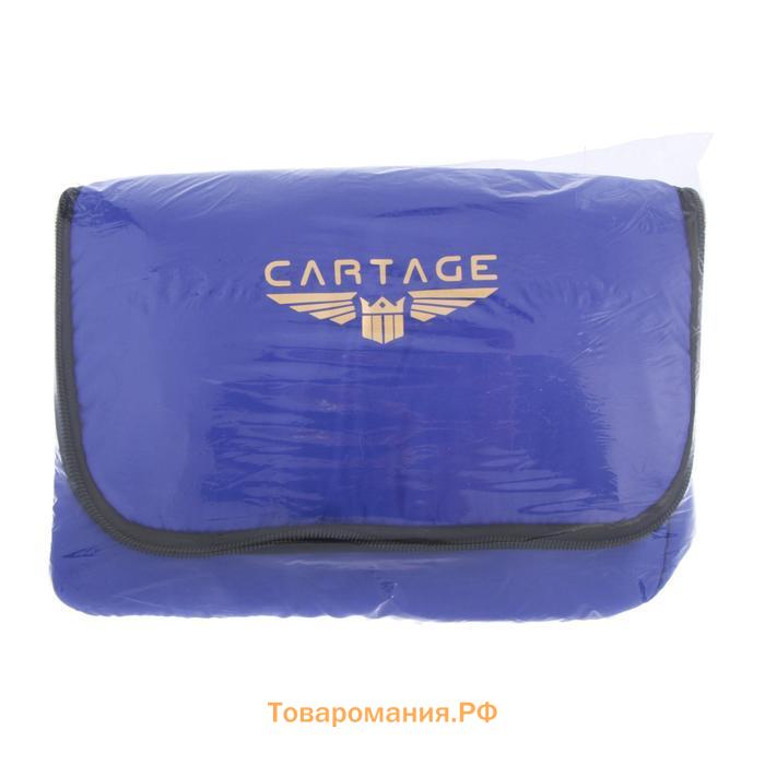 Термосумка Cartage Т-12, синяя, 18 л, 35×21×24 см