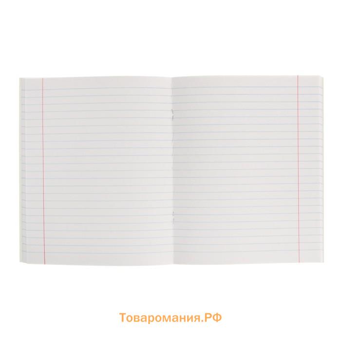 Тетрадь предметная "Кирпич" 40 листов в линию "Литература", бумажная обложка, блок №2 (серые листы)