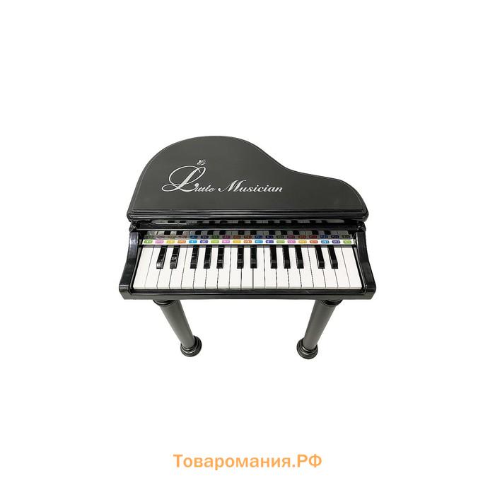 Музыкальный детский центр-пианино Everflo Maestro, цвет черный