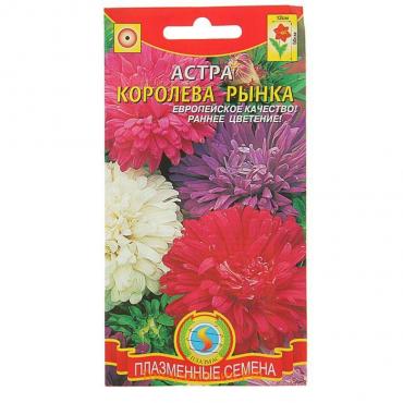 Семена Астра "Королева рынка", смесь, 0,3 г