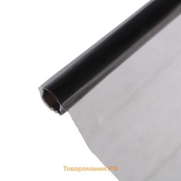 Пленка защитная для фар, 30×50 см, светопропускаемость 40%