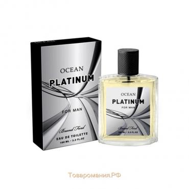 Туалетная вода мужская Ocean Platinum, 100 мл (по мотивам Egoiste Platinum (Chanel)