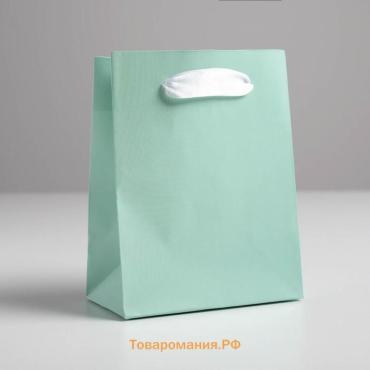 Пакет подарочный, упаковка, «Мятный», 12 х 15 х 5.5