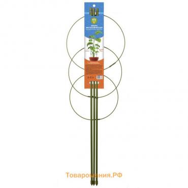 Опора для растений, 3 кольца, h = 75 см, d = 24-22-20 см, металл