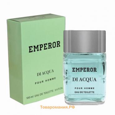 Туалетная вода мужская Emperor Di Acqua, 100 мл (по мотивам Acqua Di Gio (G.Armani)