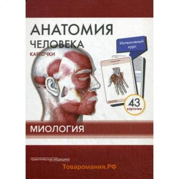 Анатомия человека: карточки (43 шт). Миология: Учебное пособие. Сапин М.Р., Николенко В.Н., Тимофеева М.О.